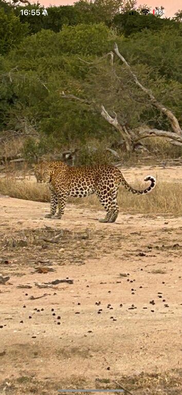 2140422b-874f-4c66-9e05-bf03760546d1