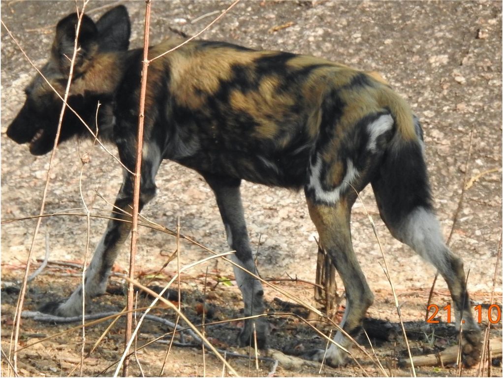 0d715bcf-cbae-4f1d-92d2-7efabd452f08