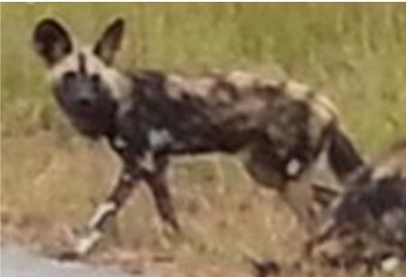 37a2aad3-4415-470c-9564-0fa49b0db85c