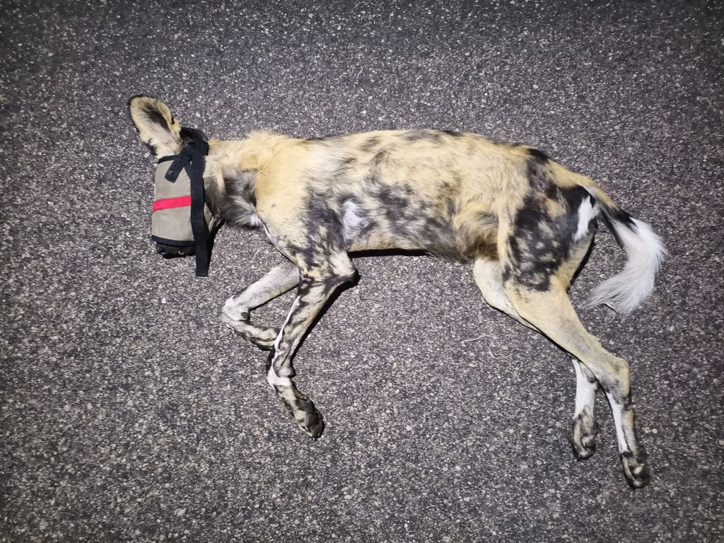 b052d5eb-91a9-470f-bdcf-bd67edd7f68f