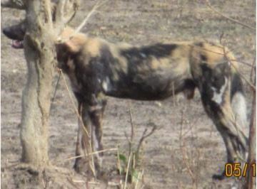 57f32bf8-df38-48b1-8c1a-88569948f8ec