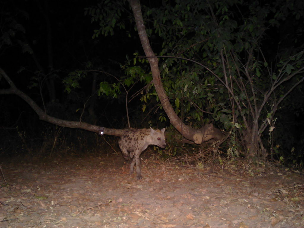 ef8425d1-e1c1-485b-a046-e6eb292b72f5