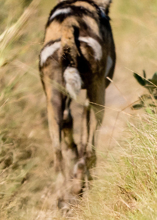 a8312eb8-1845-49ea-92ce-da33fa09511b