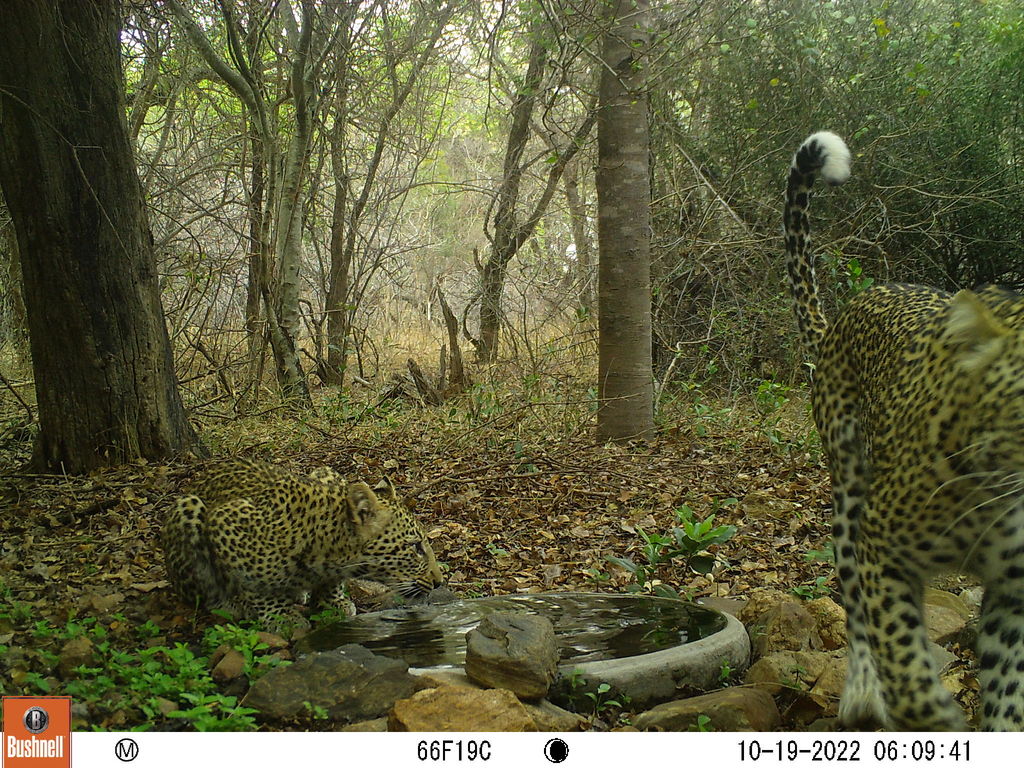 2140422b-874f-4c66-9e05-bf03760546d1