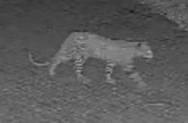 089c5c37-b1c2-4bbe-8f54-c54198fc6a02