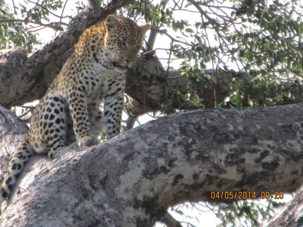 caeda7ef-8960-4278-8481-ef551965f2fb