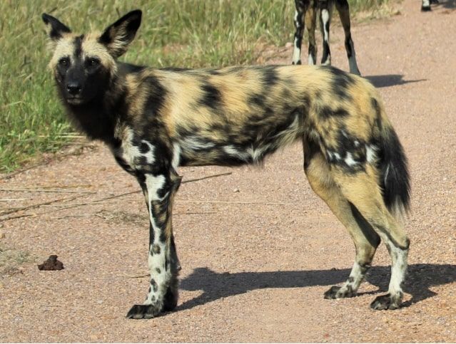 9fad7fc6-56b4-4122-a81e-65680a910f33