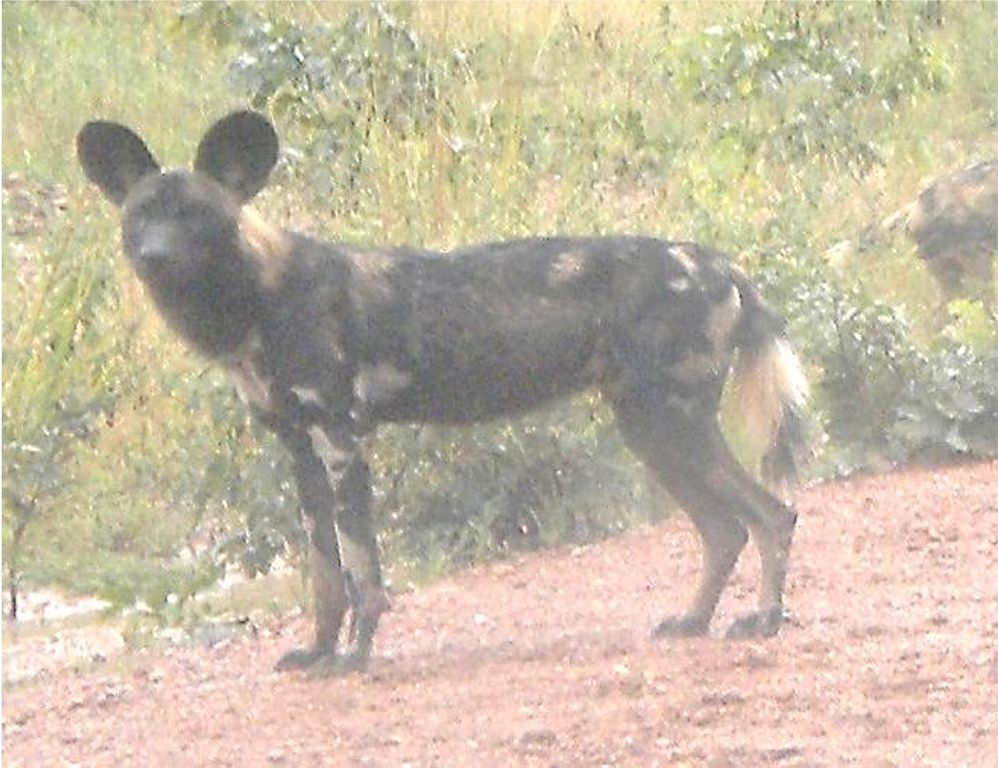 05c0b4e6-2dd3-4e77-9470-007c0b9dd89d