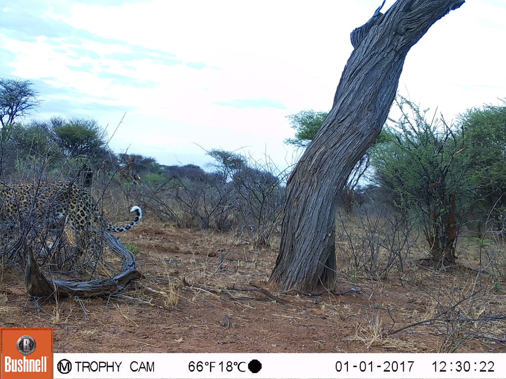 271c8bfa-8dff-44d5-9d4e-72007d7ba700