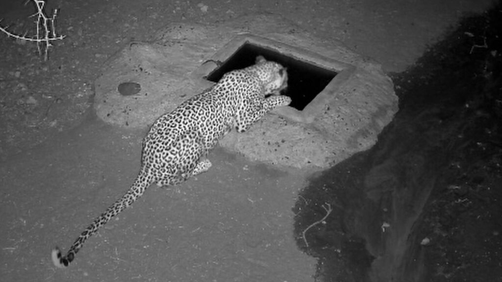 669d9632-34c5-4888-b5b7-d0cced10706d