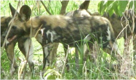 10f1dc6d-d802-4e05-87a6-edf51d0e50bc