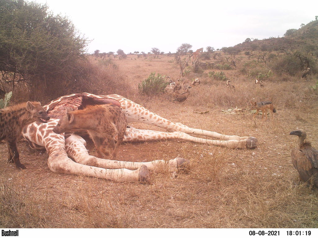 4949180c-c428-4cf0-8671-4218d80e1f84