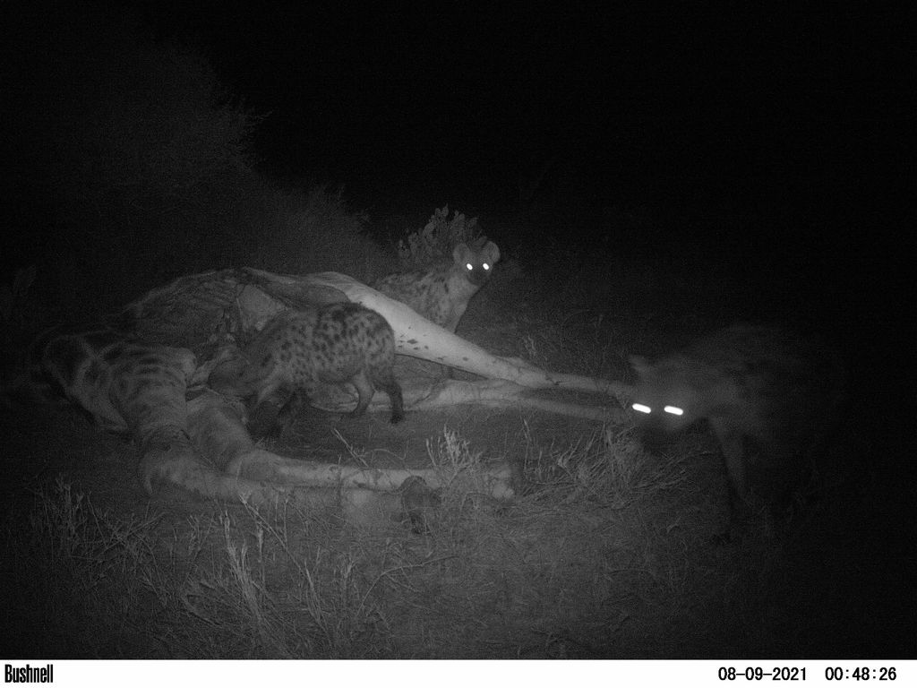 4949180c-c428-4cf0-8671-4218d80e1f84