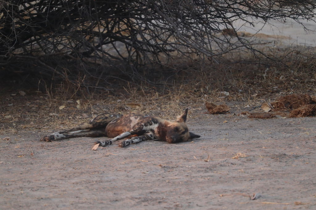 91e99a74-d353-4aee-a043-0ed7a597761b