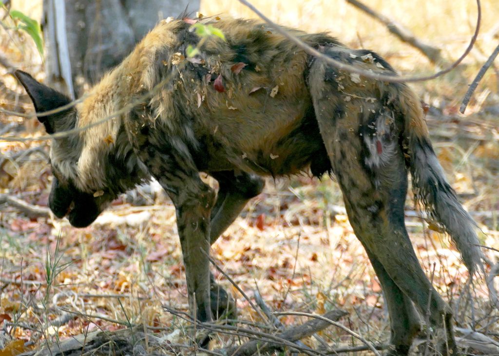 63b1358f-c457-4535-81fd-6800d1c368c1