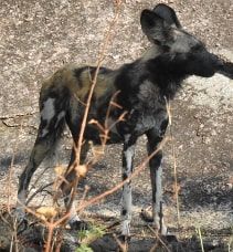 0d715bcf-cbae-4f1d-92d2-7efabd452f08