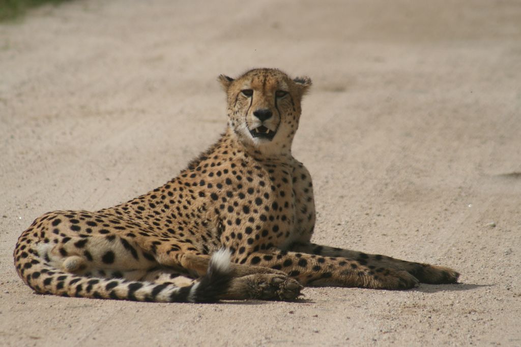 2922d46c-4911-4d15-acba-385b8024f92d