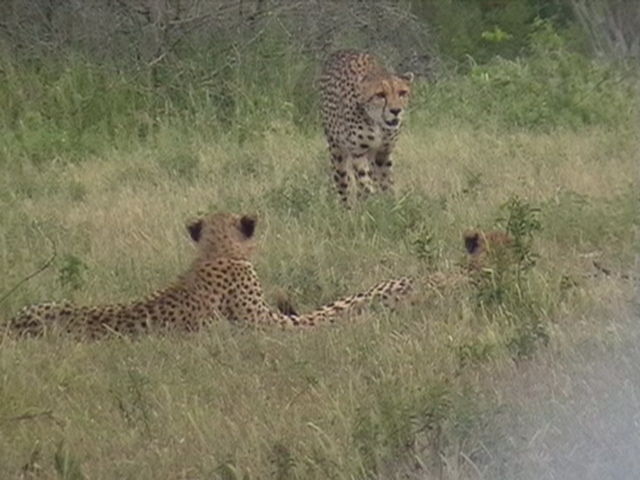 65cde951-ae02-46d0-b05d-5a32badd5049