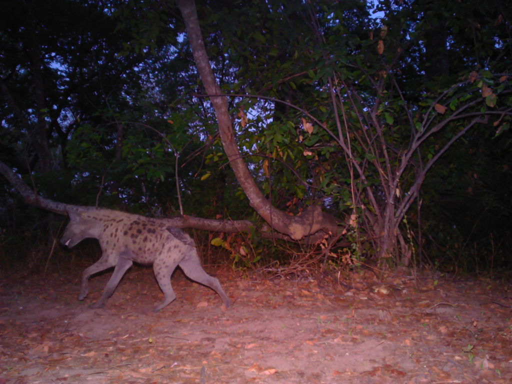 ef8425d1-e1c1-485b-a046-e6eb292b72f5