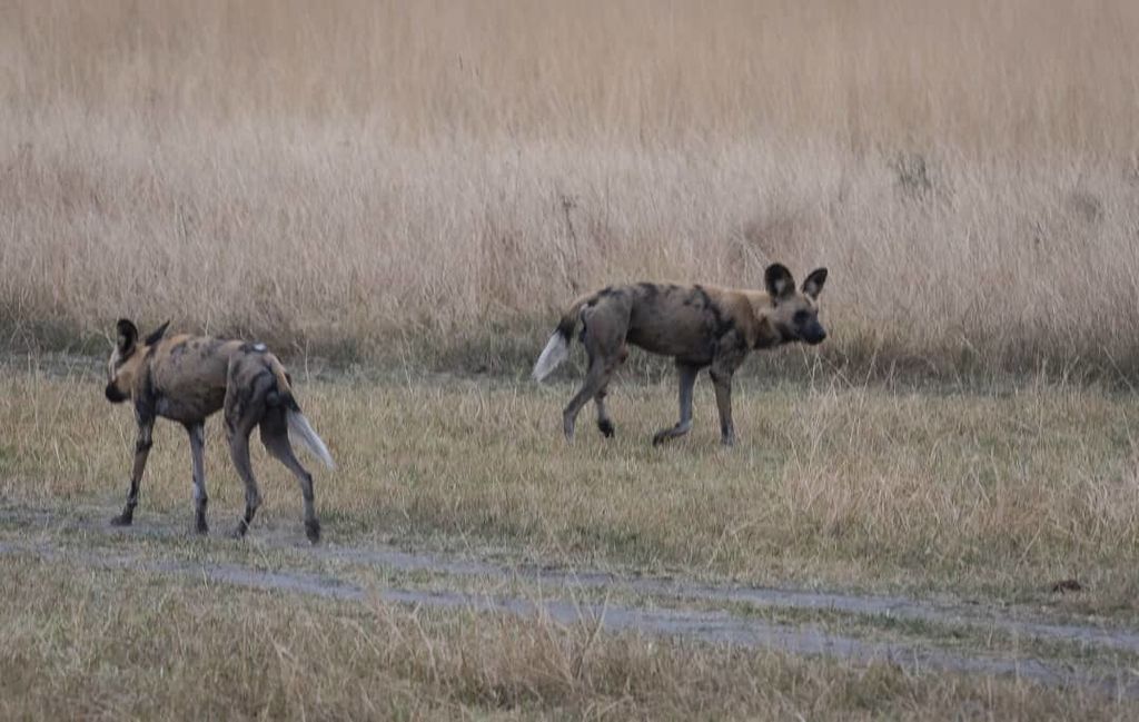 68b8f324-7ddb-488e-b836-915b45cebf64