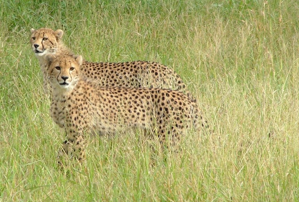 56c5ba77-0f28-4fbb-83d0-08acfe4ed135