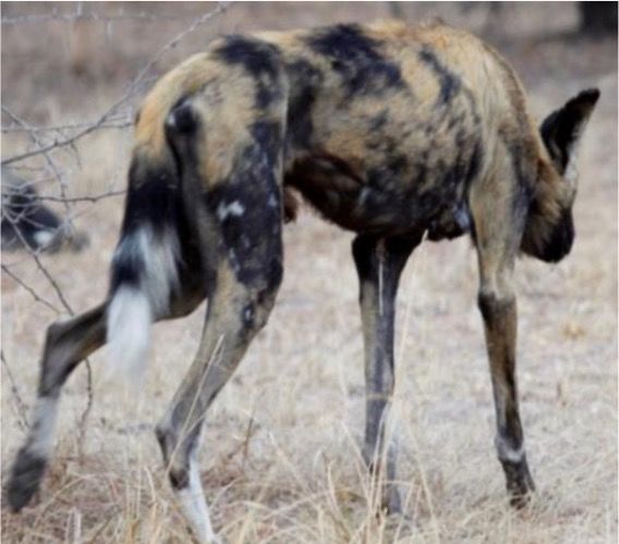 05c0b4e6-2dd3-4e77-9470-007c0b9dd89d