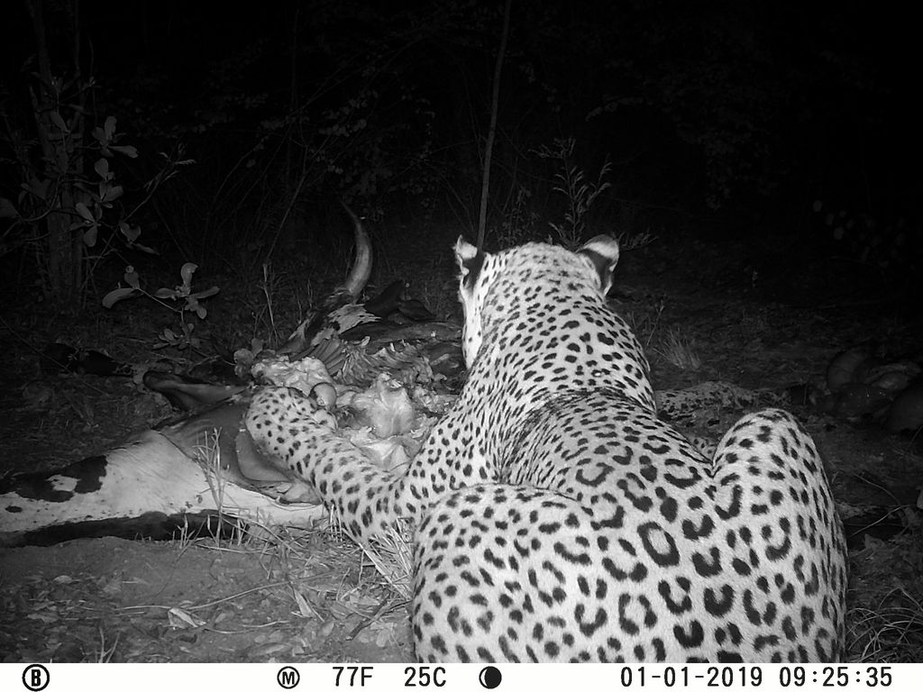 32b33b88-a09c-4694-a971-426d5227fe50