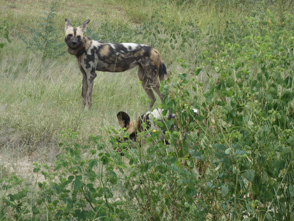 847576de-ba65-4b66-a3a8-f81e84535841