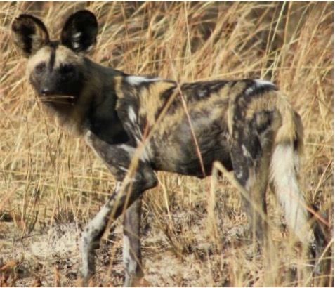 edc1741a-74e2-406e-a5ae-e4a52df40621