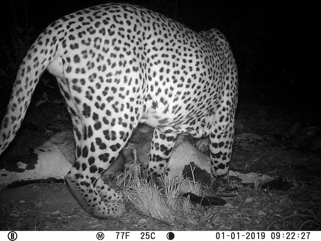 32b33b88-a09c-4694-a971-426d5227fe50