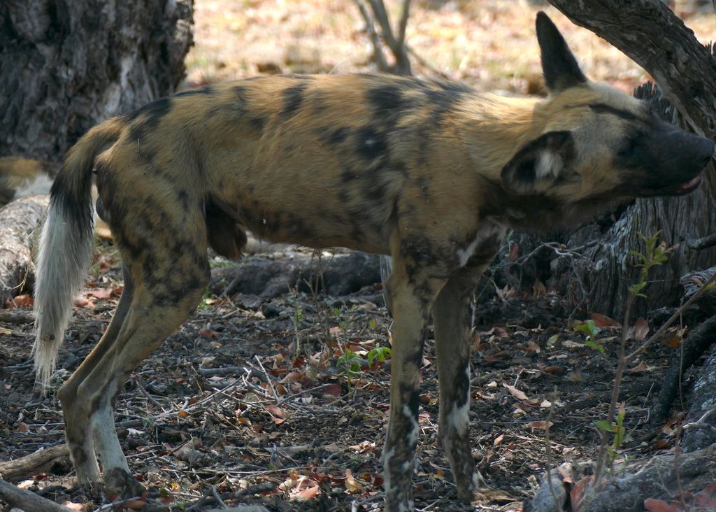 10b48a3f-9afa-4f63-9241-565c9881417a