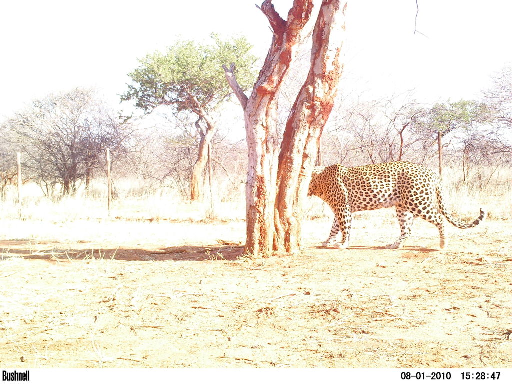 220e6e43-0723-4068-9d2b-08c125017361