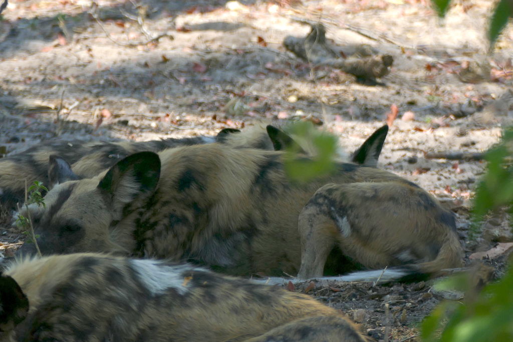 10b48a3f-9afa-4f63-9241-565c9881417a