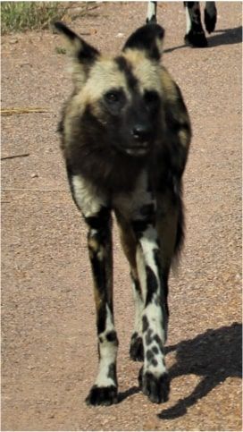 9fad7fc6-56b4-4122-a81e-65680a910f33