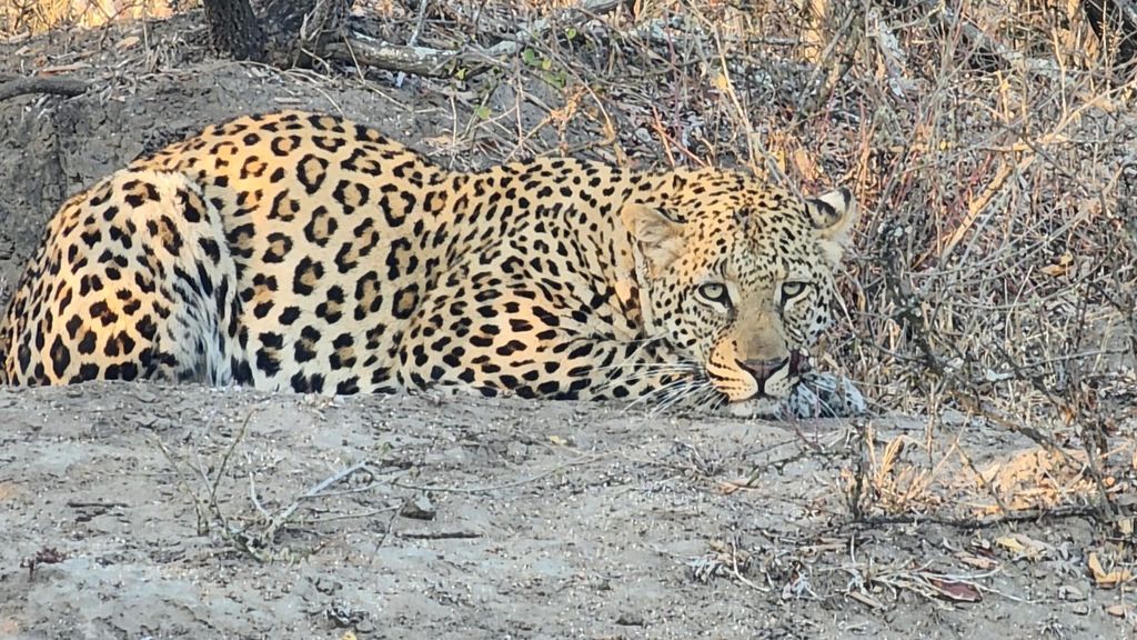 2140422b-874f-4c66-9e05-bf03760546d1