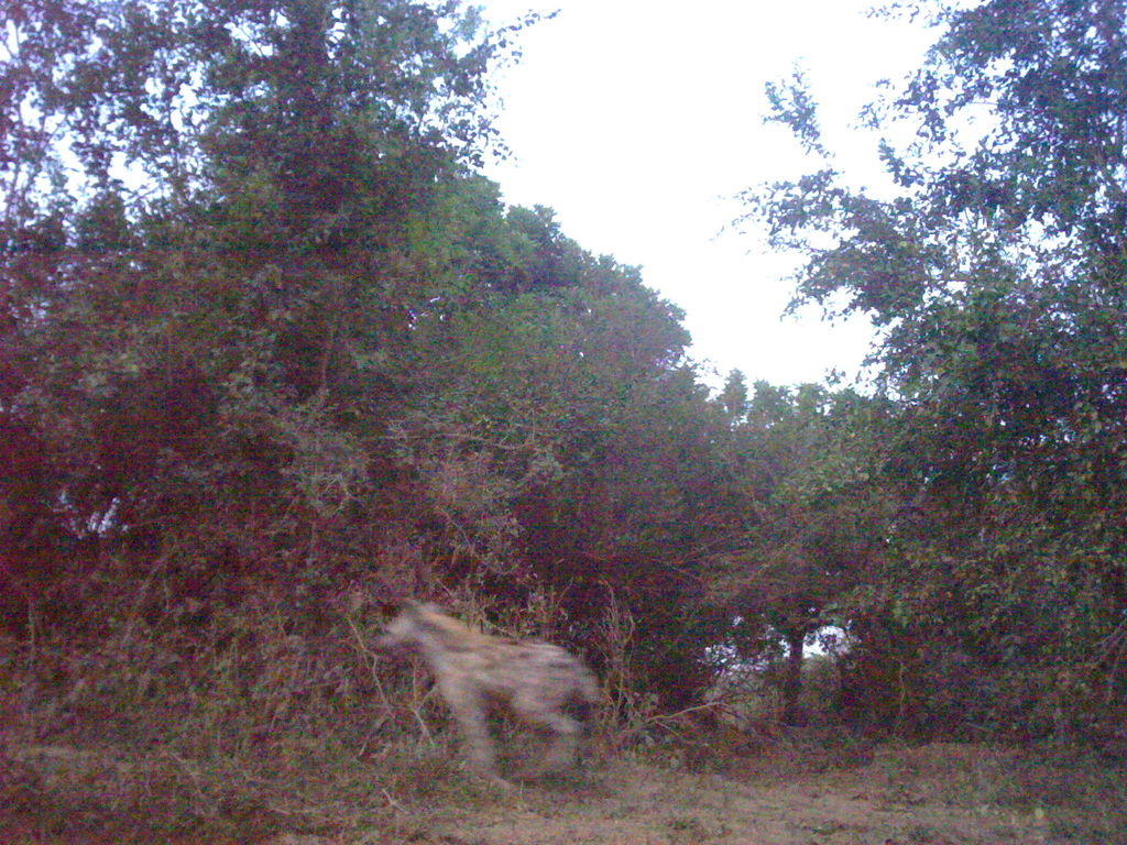 d6f4a29a-0ffa-468d-bbc9-3e7252211028