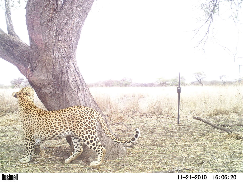 220e6e43-0723-4068-9d2b-08c125017361