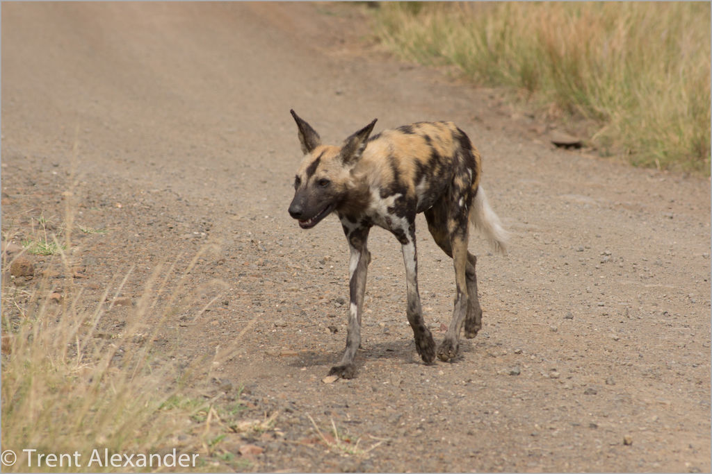 cfdac617-9c20-410d-bdef-d7ed71b82e5b