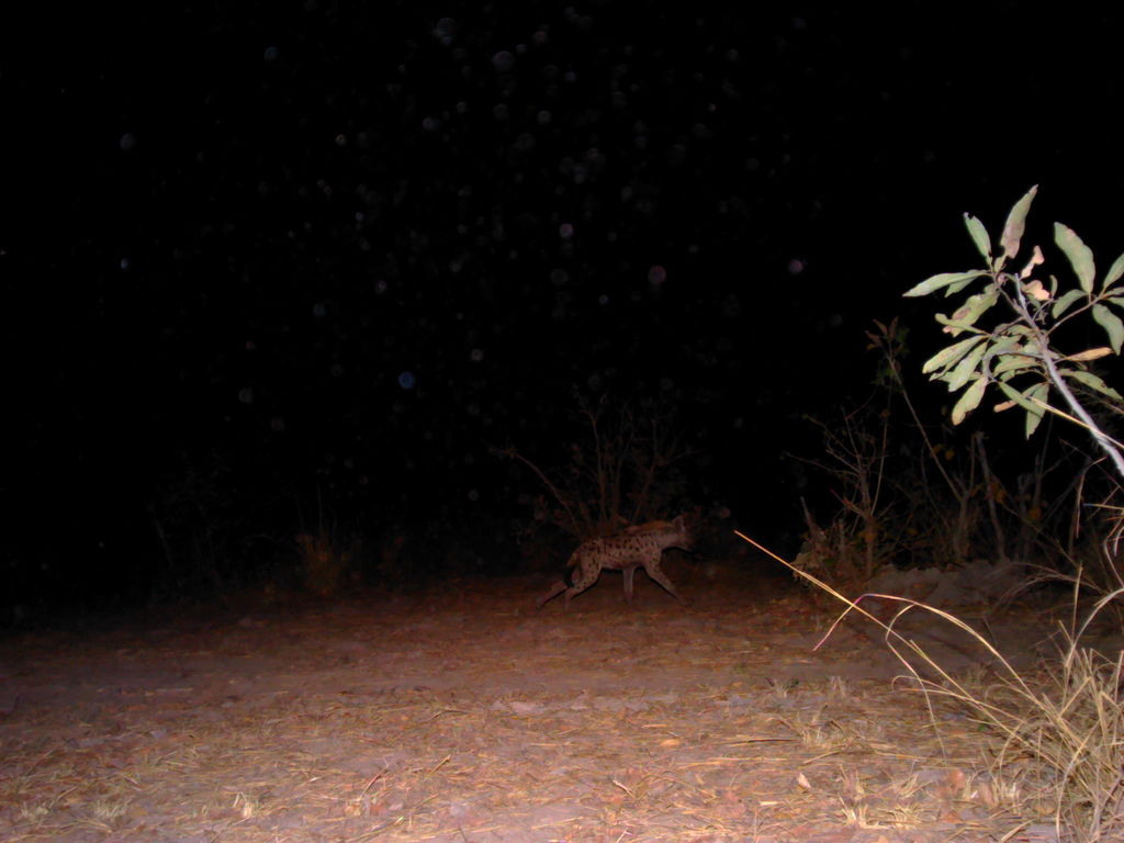 d6f4a29a-0ffa-468d-bbc9-3e7252211028