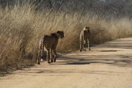 2922d46c-4911-4d15-acba-385b8024f92d