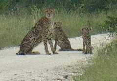 f623f117-1dd6-49b6-bc26-821920c54781