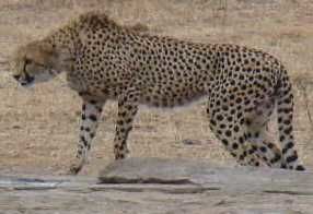 f8038d85-50c9-4366-87ac-5bda06bc684d