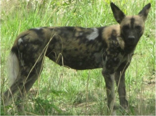 d98cacce-0394-4374-a1ac-6fc816660ad9