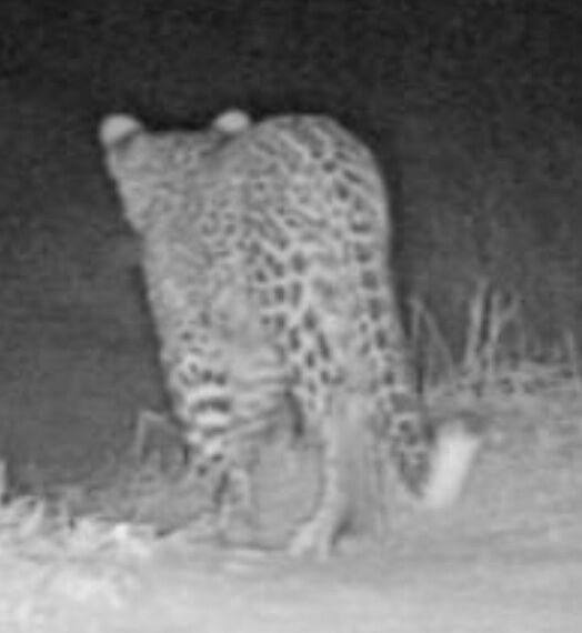 089c5c37-b1c2-4bbe-8f54-c54198fc6a02