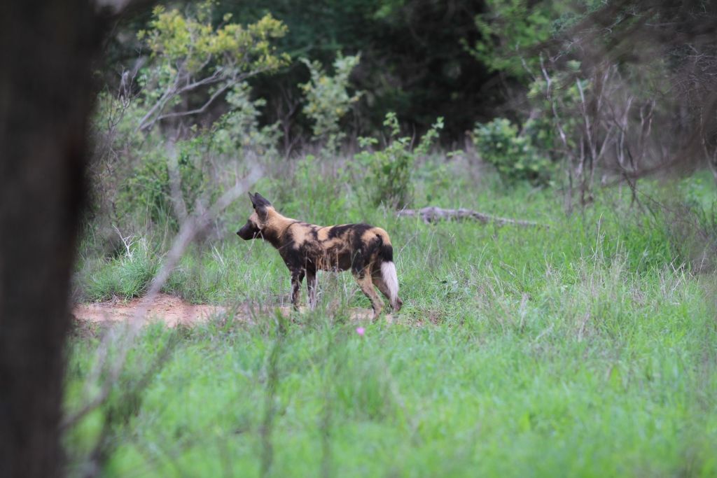 4262b217-9ef4-4626-8c5c-c7ea628b6793