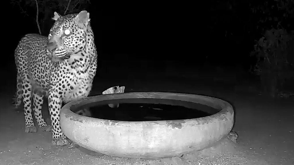 669d9632-34c5-4888-b5b7-d0cced10706d