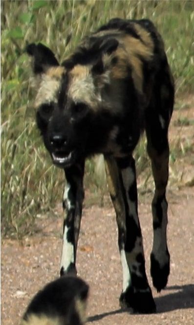 3eb18304-46bd-4059-925e-b21200654d47