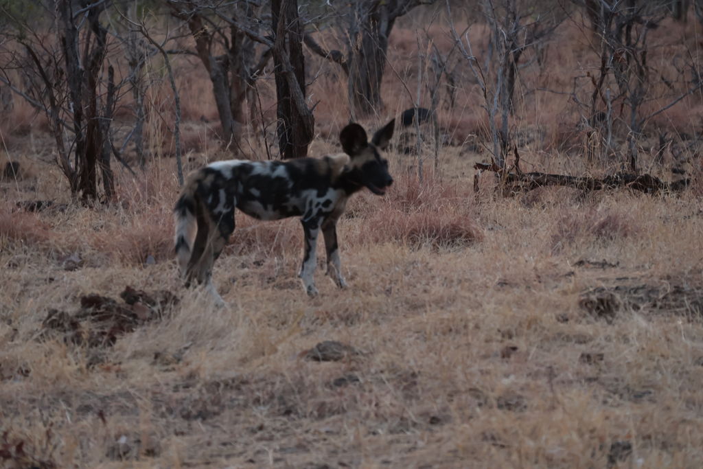 ca564ca0-555f-4e1d-8196-1994e5cd4262