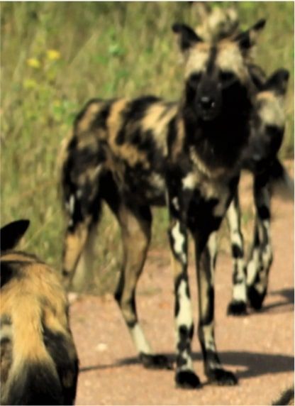 3eb18304-46bd-4059-925e-b21200654d47