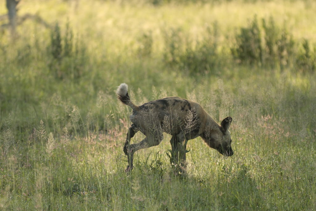 68b8f324-7ddb-488e-b836-915b45cebf64